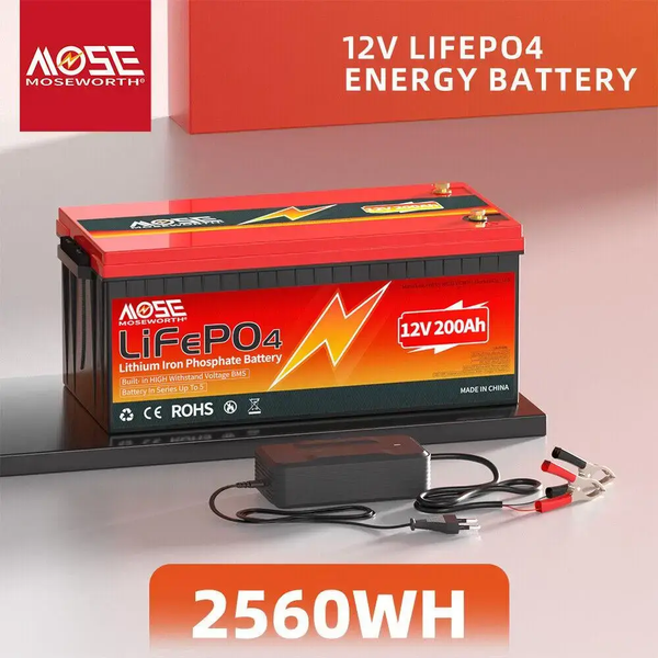 Акумулятор MOSEWORTH LiFePO4 12 V 200 Ah (2560Wh) з вбудованим BMS 6000+ циклів 24200-1 фото
