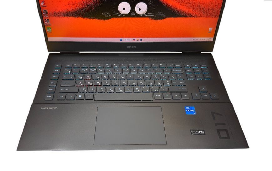 Hp Omen 17-CK0720NW (2022) 4988 фото